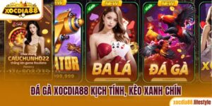 Đá gà